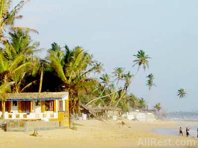 Amaya Reef 6